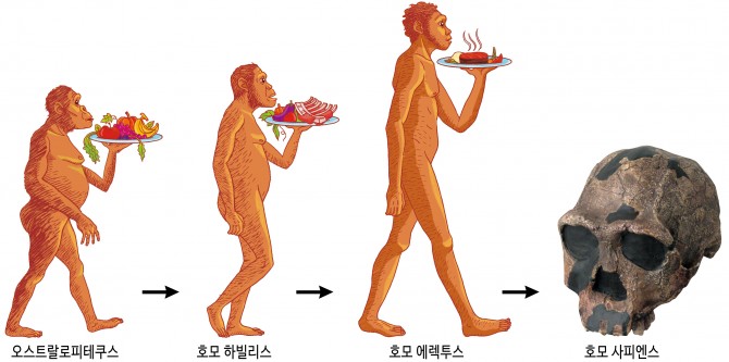 일러스트 허라미 사진 위키미디어 제공